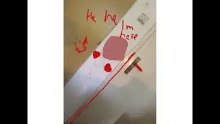 What the