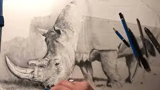 Come disegnare un rinoceronte parte 8