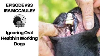 Podcast Short Ep 93: Ira McCauley- The Disastrous Realities of Ignoring Oral Health in Working Dogs