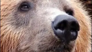Кажется мне есть что тебе рассказать!