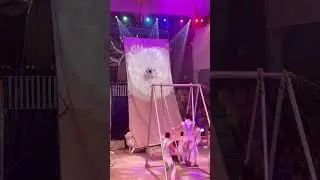 Земля мамонтов