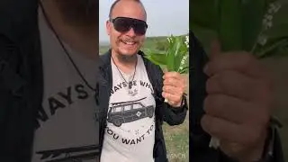 Я подарю вам ландыши 👍