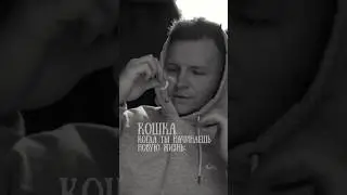 Кошка, когда ты начинаешь новую жизнь 