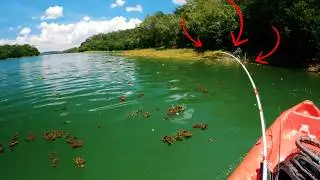A vara engoliu água e o Coração quase Parou!!! Pescaria de Tucunaré...