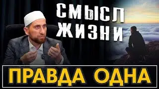В ЧЁМ СМЫСЛ ЖИЗНИ ? | ВОПРОС МИЛЛИАРДОВ ЛЮДЕЙ
