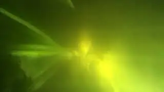Огромный карась в мутной воде