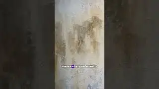 Реалити в ремонте, Часть 3🔥 уже началось что-то интересное! Предыдущие видео смотрите в профиле❤️