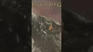 Elden Ring | Roronoa Zoro meets Kaidou, the DragonLord