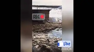 Сокол