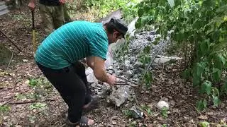 Чистим участок