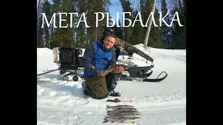 МЕГА  РЫБАЛКА !КРУПНЫЙ ХАРИУС МАРТ /НА СНЕГОХОДЕ ВЕДРОВЕРТАКТО!