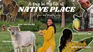 A day in my life at my NATIVE PLACE🌴🥥| spending time with grandparents👨‍👩‍👧‍👧| what I eat in a day🐔