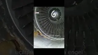 Uçak Motorları Bir İnsanı Kaparsa Ne Olur?