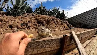 El mejor área de descanso de la carretera escénica Ensenada a Tijuana