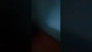 Альянс или скибидисты кто победит?