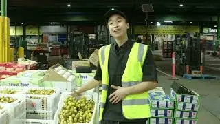 What's in Season - Longans
