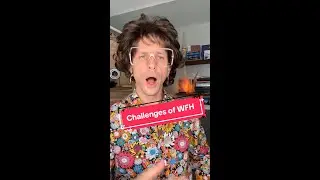 The Challenges of Working From Home