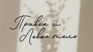 Левое и правое тело – в чём отличия?