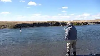 Goma's Leaper - Big Sky Anglers