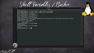 Mastering Shell Variables: Local, Environment, and the bashrc File Explained!
