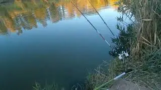 Рыбалка на Салу