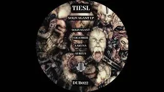 Tiesl_ - Lakuna