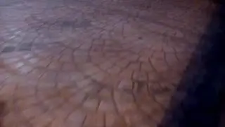 Котики