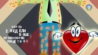 Что будет если вы бросите курить прямо сейчас?