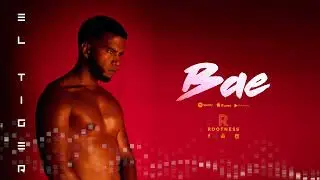 El Tiger - BAE