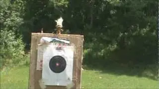 U.S Survival Rifle Ammo Test