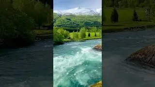 #naturevideo   #shorts #shortsvideo  #statusvideo #statusvideo #trending #naturevideo #relaxingmusic