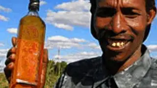 Cow Urine Soda | ZapRoot