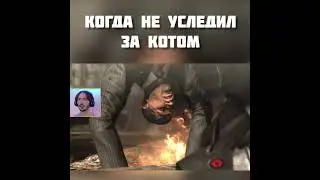 Когда КОТ УКРАЛ СОСИСКУ со СТОЛА  ⌡ METAL GEAR RISING REVENGEANCE 