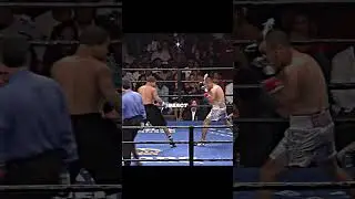 The Smartest Boxer In The World