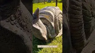 #артбетон