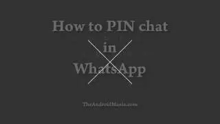 How to use WhatsApp pinned chat feature