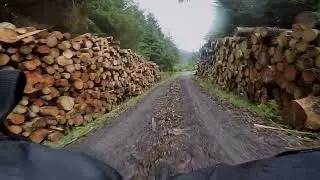 Ragley Marley 29 // Bikepaking // Rest Be Thankful forest route