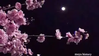 —Я ПОНЕЛА ТОЛЬКО ОДНО..