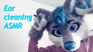 [Furry ASMR] Ear cleaning, inner and outer ear (talking)