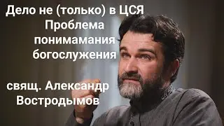 Дело не (только) в ЦСЯ. Стрим с ВК АПС 21 янв 2021 г. Свящ. Александр Востродымов