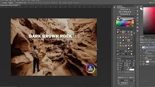 Dark Brown LUT