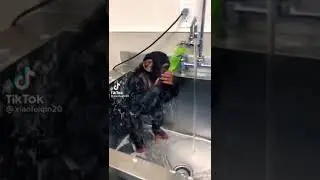 green screen video🐒