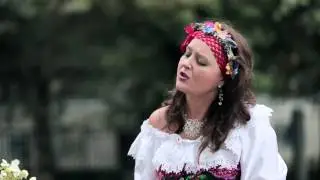Расцвела под окошком...  дуэт 