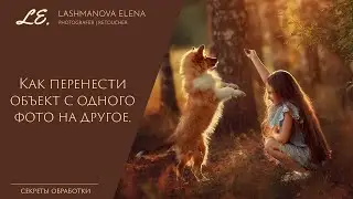 Перенос объекта с одного фото на другое в Adobe Photoshop CC