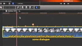 SUGARfx Subtitles for After Effects, Final Cut Pro, Premiere Pro, Motion