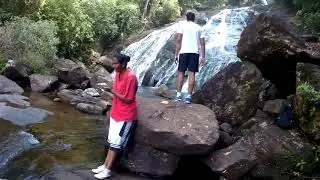Lets get Going SriLanka - Sinharaja Forest Reserve