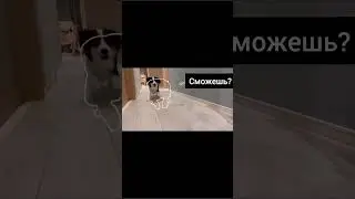 Сможешь #shorts