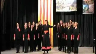 KOLOVOĐA - SRPSKA NARODNA PESMA