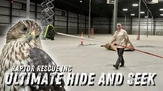 Finding A Hawk In A Haystack 😬 - Ep. 13