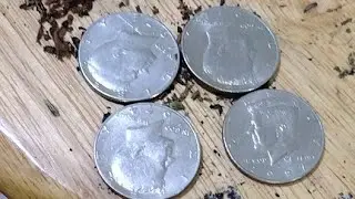 IM BOUT TO GO SPEND MY 50¢ COINS!!!!!!